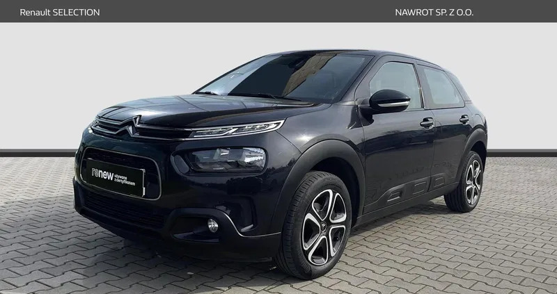 samochody osobowe Citroen C4 Cactus cena 49900 przebieg: 148247, rok produkcji 2020 z Jastrowie